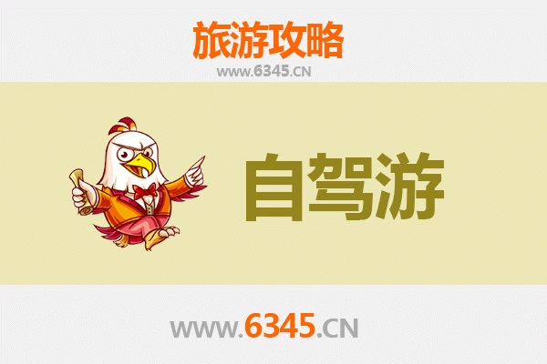 东莞沙田镇家庭自驾游攻略：滨海风情与亲子乐趣完美融合